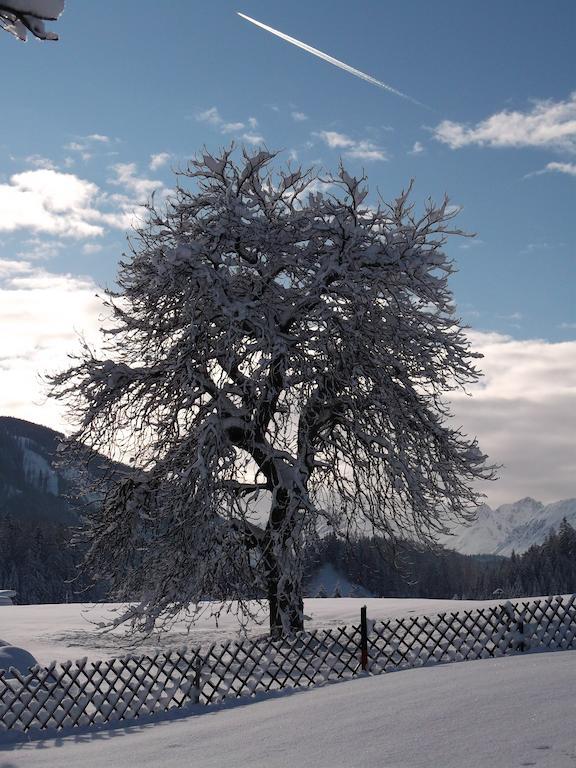 Villa Anno Tyrol à Biberwier Extérieur photo